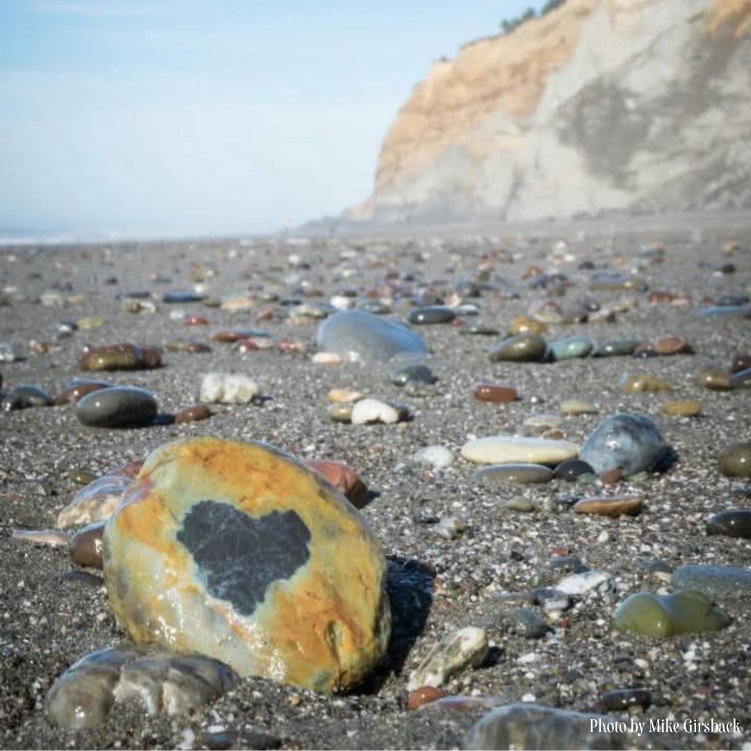 Rocks on Centerville Beach, Humboldt County.