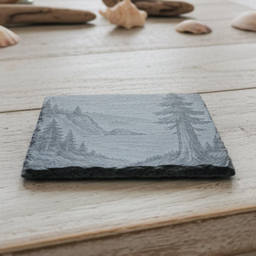 Coaster with a redwood and ocean design.