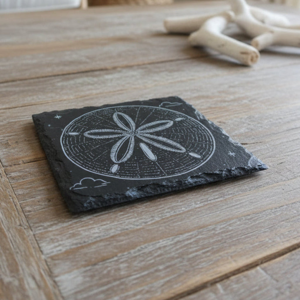 Black slate coaster with white sand dollar design engraved.