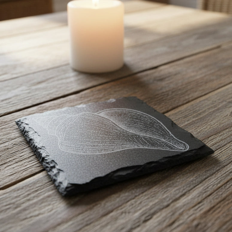 Black slate coaster with a white shell design engraved.