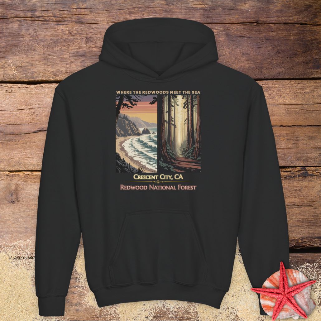 Black Crescent City youth hoodie featuring vintage redwood forest and Pacific coast Where the Redwoods Meet the Sea artwork.